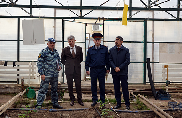 Абдулгапуров далгат камильпашаевич биография